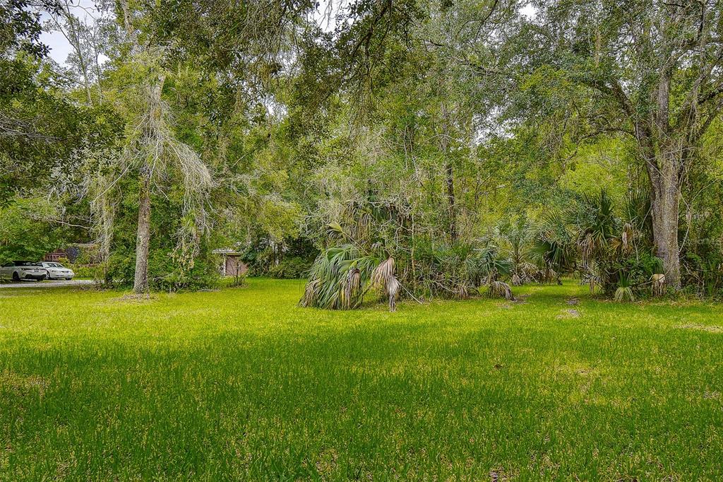 7323 Ray Browning Road Brooksville, FL 34601 - Photo 30 of 46 a view of a field with a tree