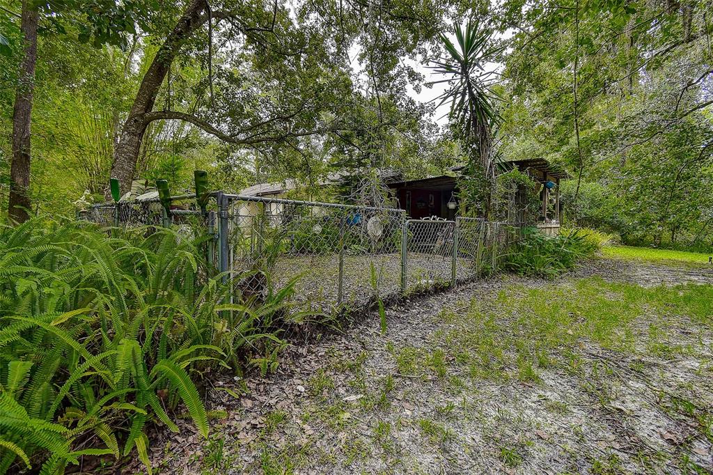 7323 Ray Browning Road Brooksville, FL 34601 - Photo 32 of 46 a backyard of a house with lots of green space