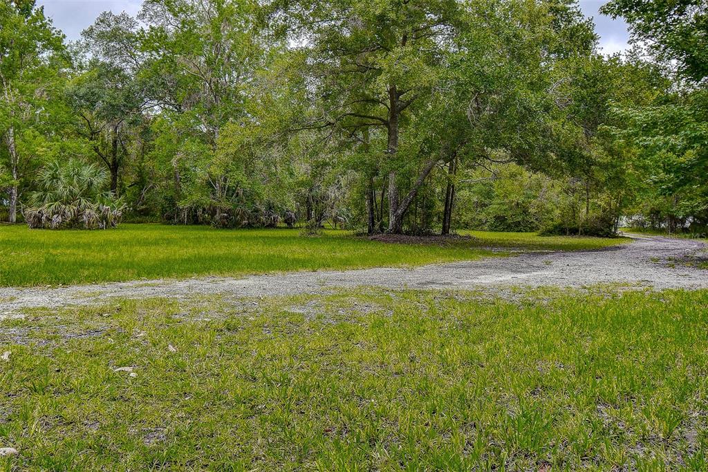 7323 Ray Browning Road Brooksville, FL 34601 - Photo 34 of 46 a view of a field of grass and trees