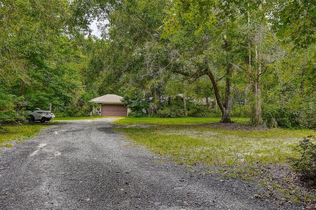 7323 Ray Browning Road Brooksville, FL 34601 - Photo 35 of 46 a view of a backyard with large trees