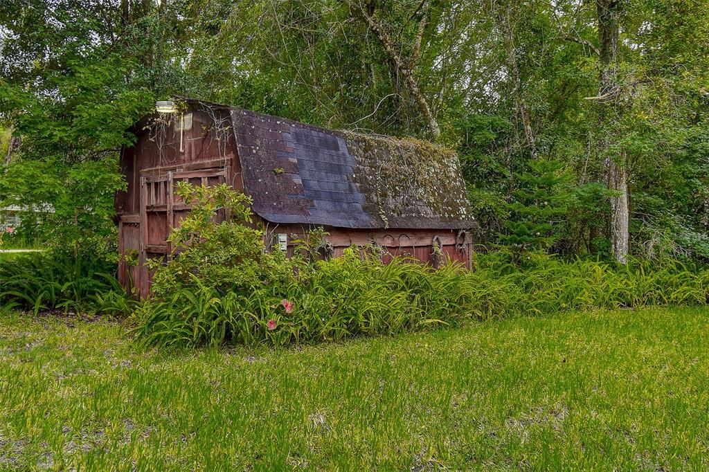 7323 Ray Browning Road Brooksville, FL 34601 - Photo 36 of 46 a view of a back yard