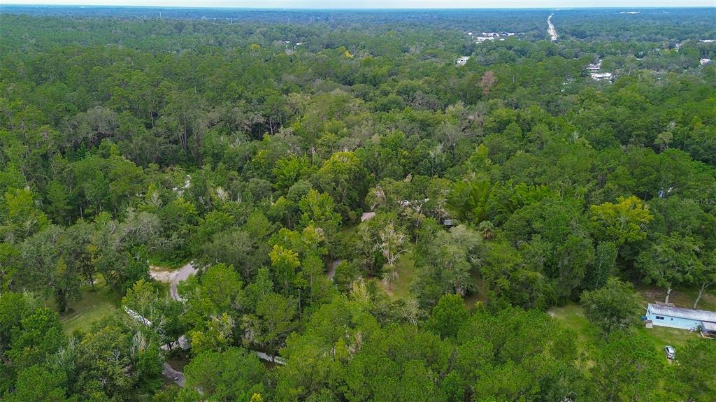 7323 Ray Browning Road Brooksville, FL 34601 - Photo 39 of 46 a view of a forest with a street