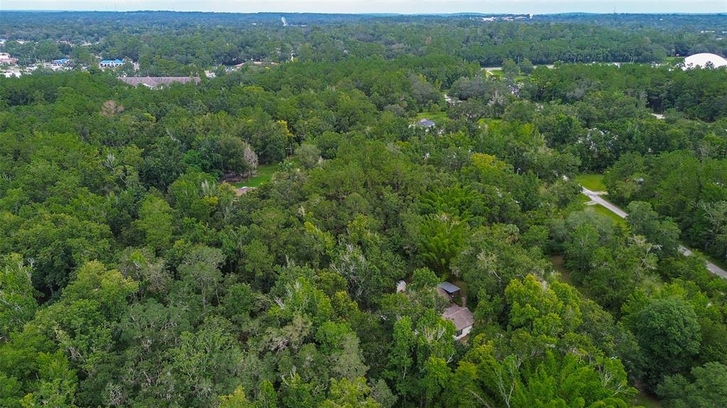 7323 Ray Browning Road Brooksville, FL 34601 - Photo 41 of 46 an aerial view of residential houses with outdoor space and trees