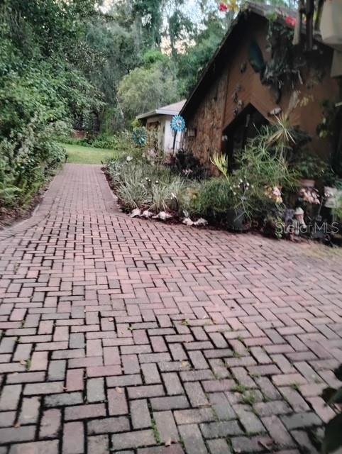 7323 Ray Browning Road Brooksville, FL 34601 - Photo 43 of 46