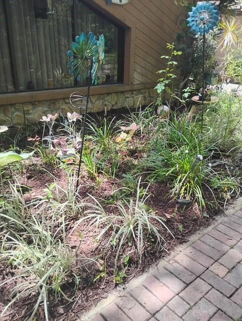 7323 Ray Browning Road Brooksville, FL 34601 - Photo 45 of 46 a plant is in front of a house