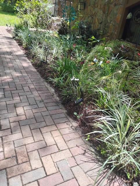 7323 Ray Browning Road Brooksville, FL 34601 - Photo 46 of 46 a close up of a plant