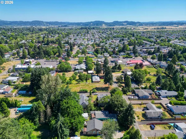 a view of a city with a mountain