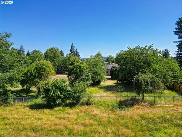 a view of backyard with green space