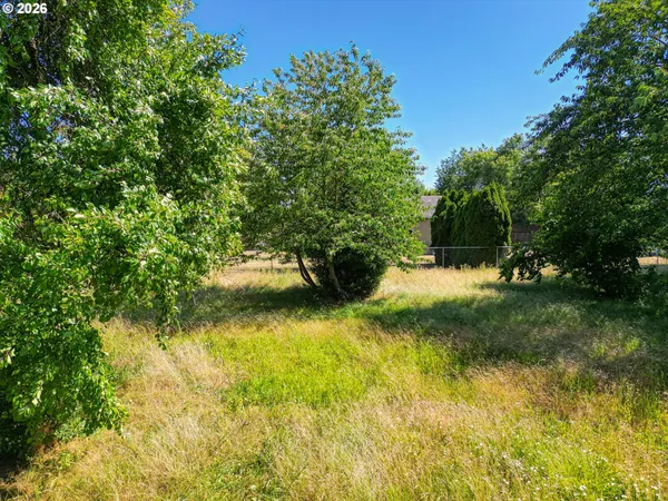 a view of yard with green space