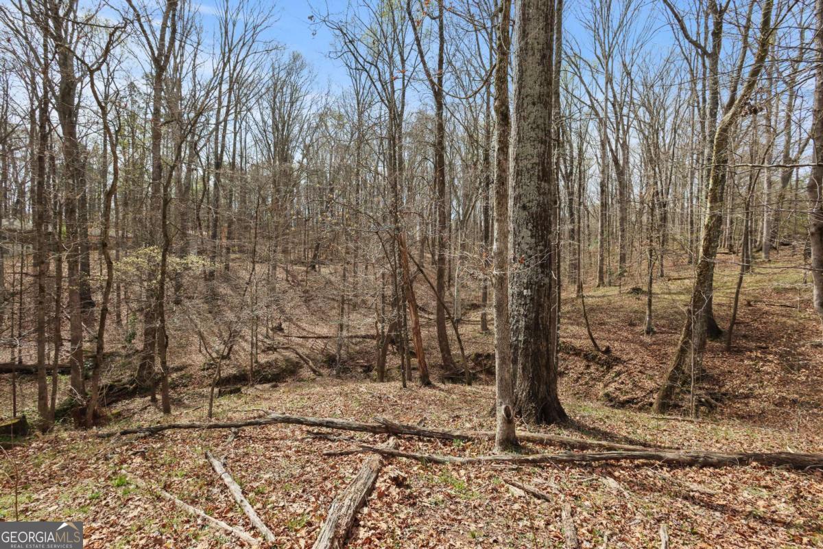0 Winford Smith Road, Unit 13 Athens, GA 30607 - Photo 8 of 17