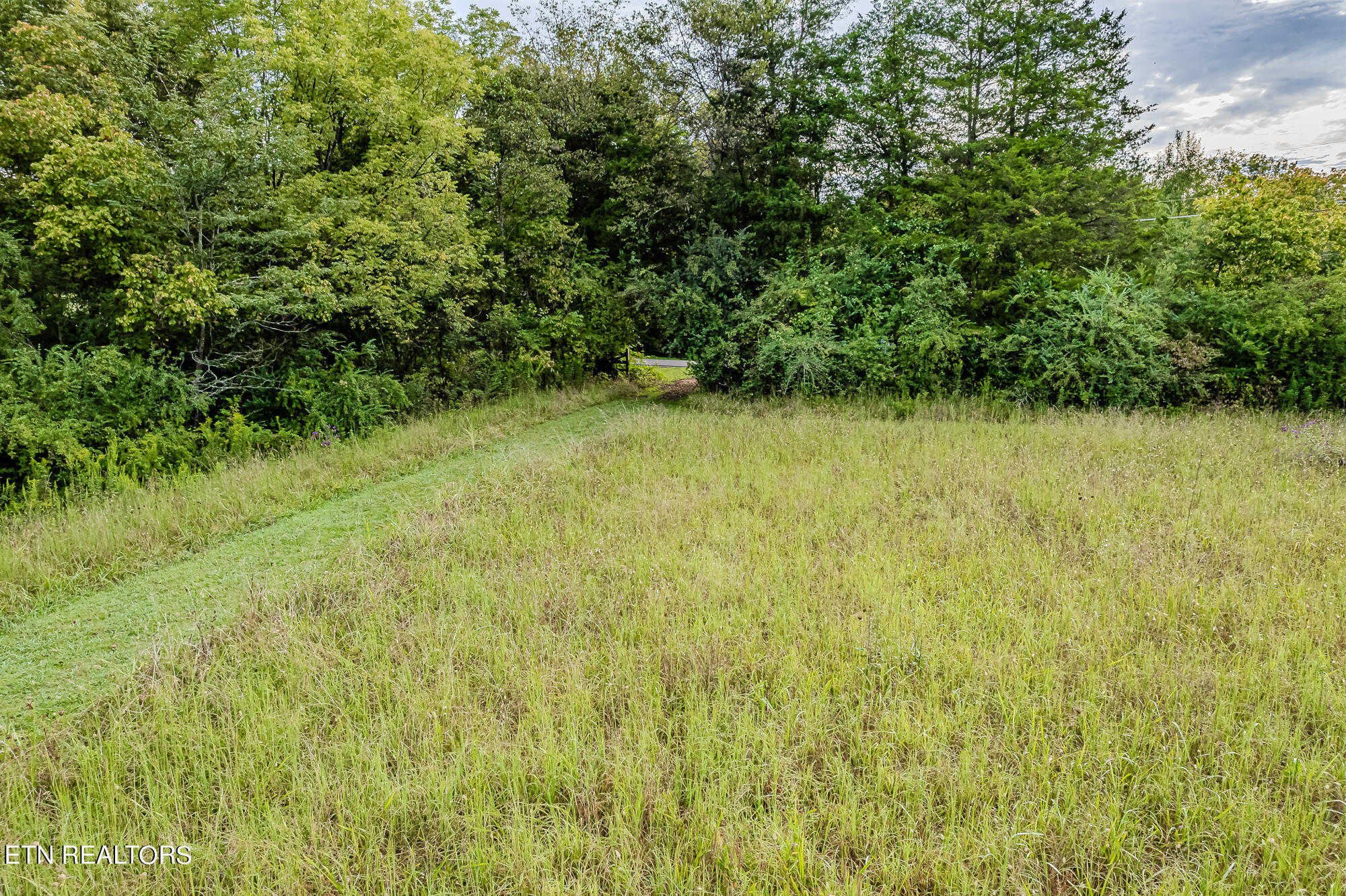 432 County Road Englewood, TN 37329 - Photo 11 of 18 9ac Cr432-10