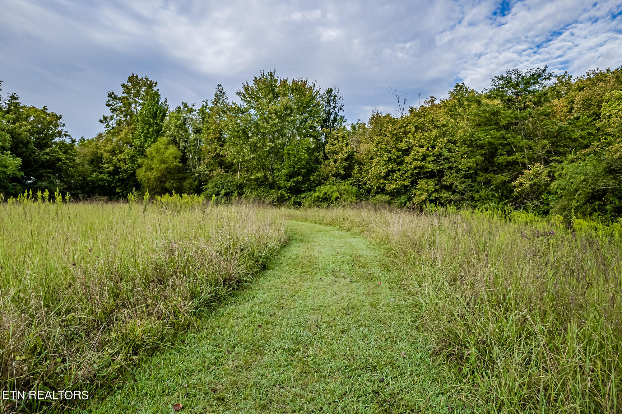 432 County Road Englewood, TN 37329 - Photo 12 of 18 9ac Cr432-11