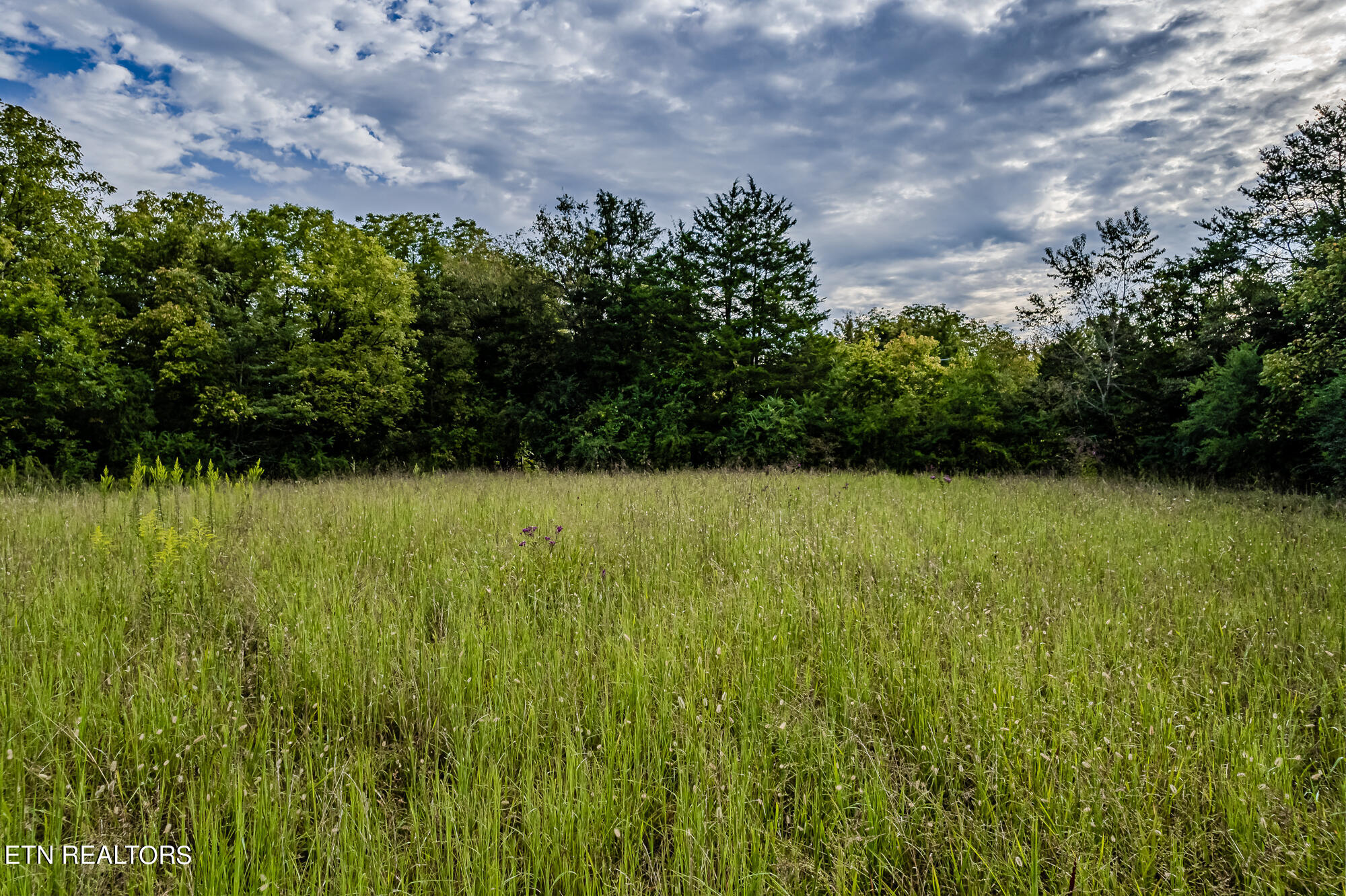432 County Road Englewood, TN 37329 - Photo 13 of 18 9ac Cr432-12