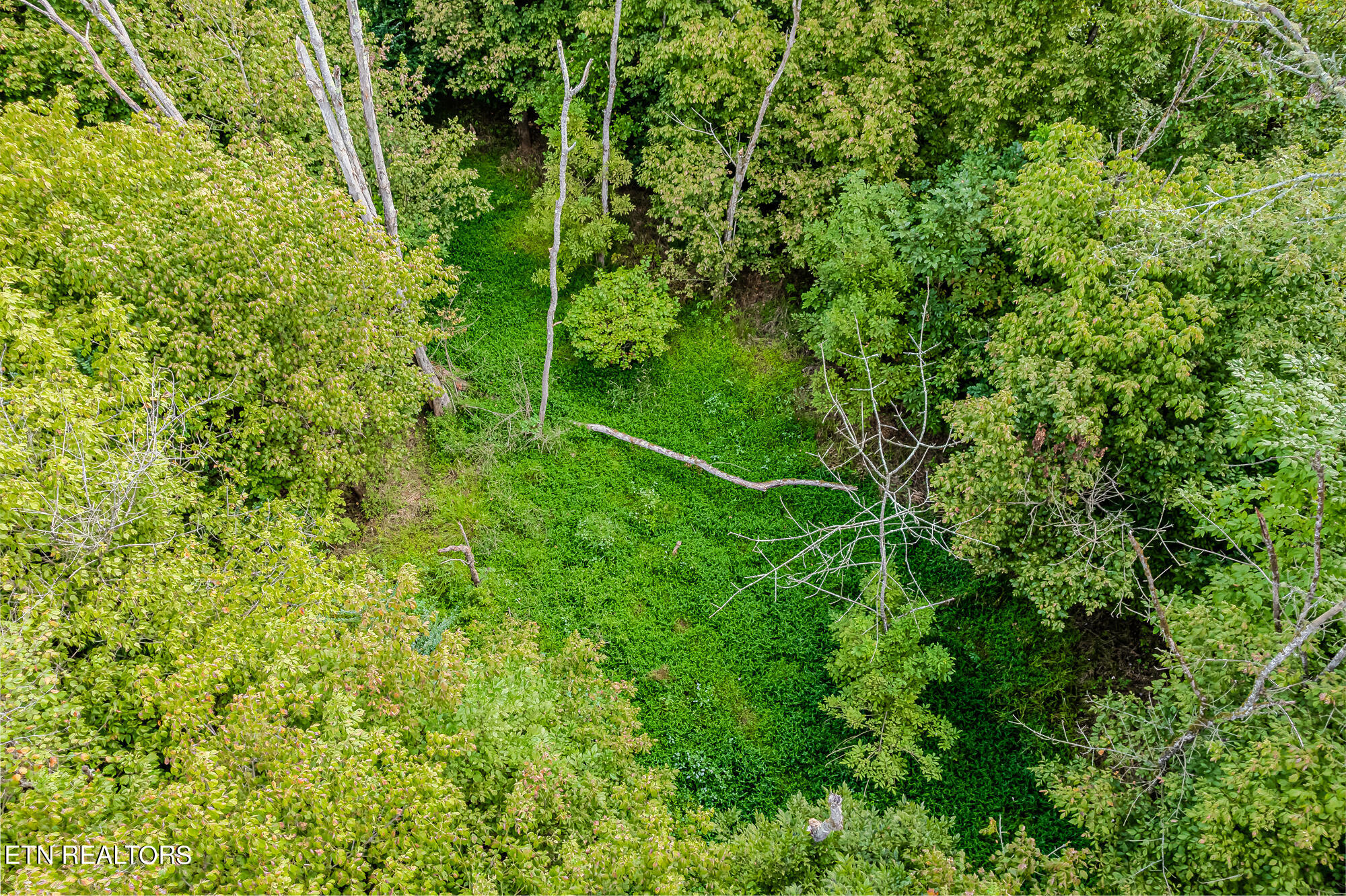 432 County Road Englewood, TN 37329 - Photo 17 of 18 9ac Cr432-17