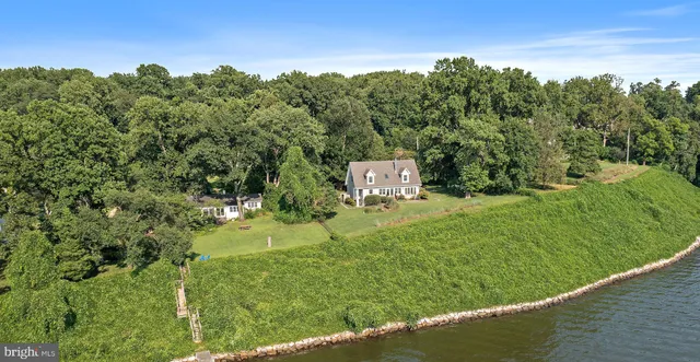 a view of a garden from a balcony