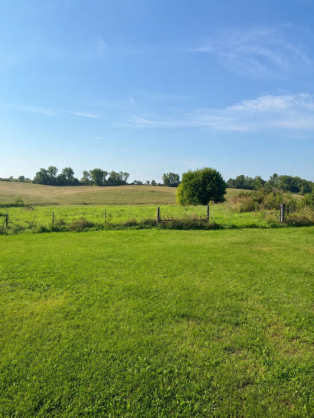 5215 County Road West Dodgeville, WI 53533 - Photo 4 of 15 Gallery Image 4
