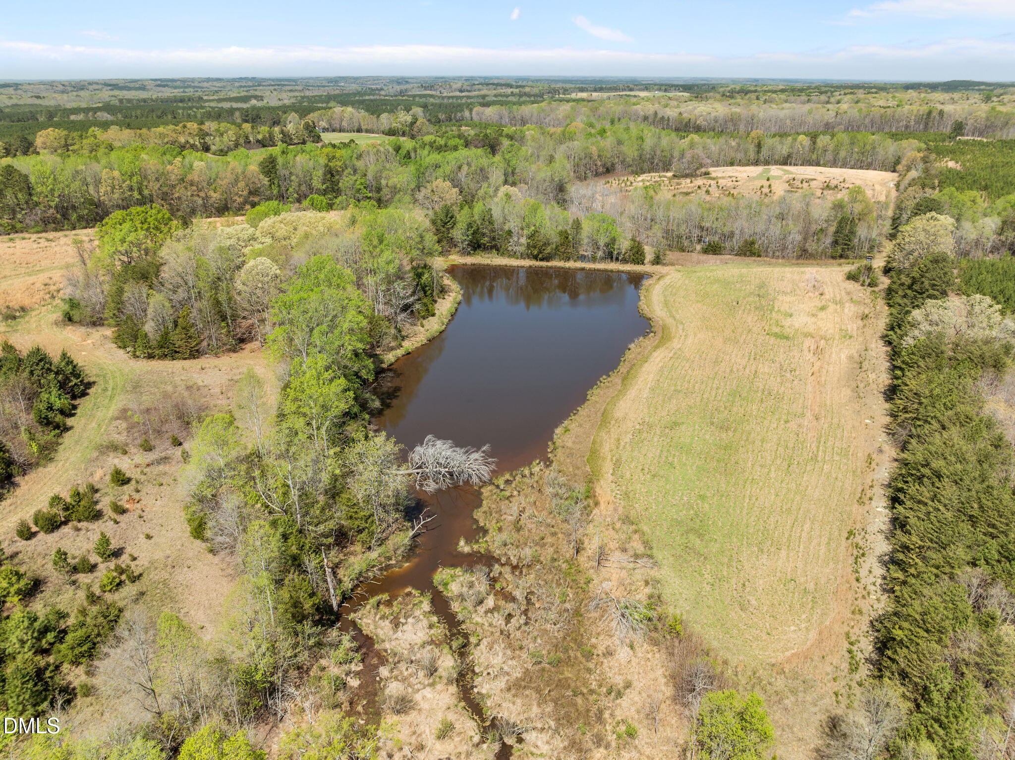 212 Thomas Humphries Road Roxboro, NC 27574 - Photo 8 of 56 6-web-or-mls-DJI_0257