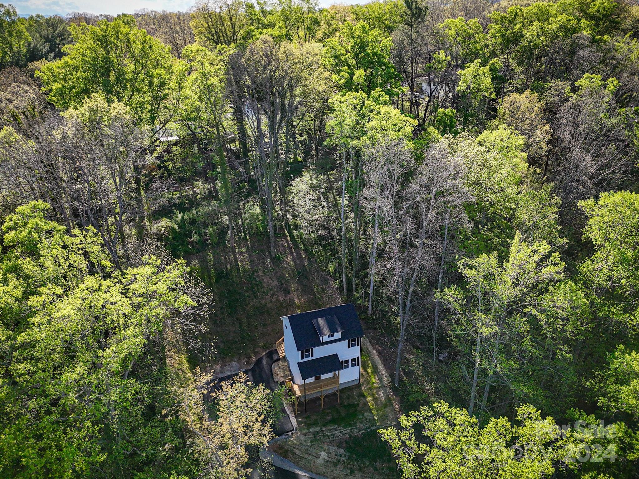 461 Governors View Road Asheville, NC 28805 - Photo 8 of 37 Gallery Image 8