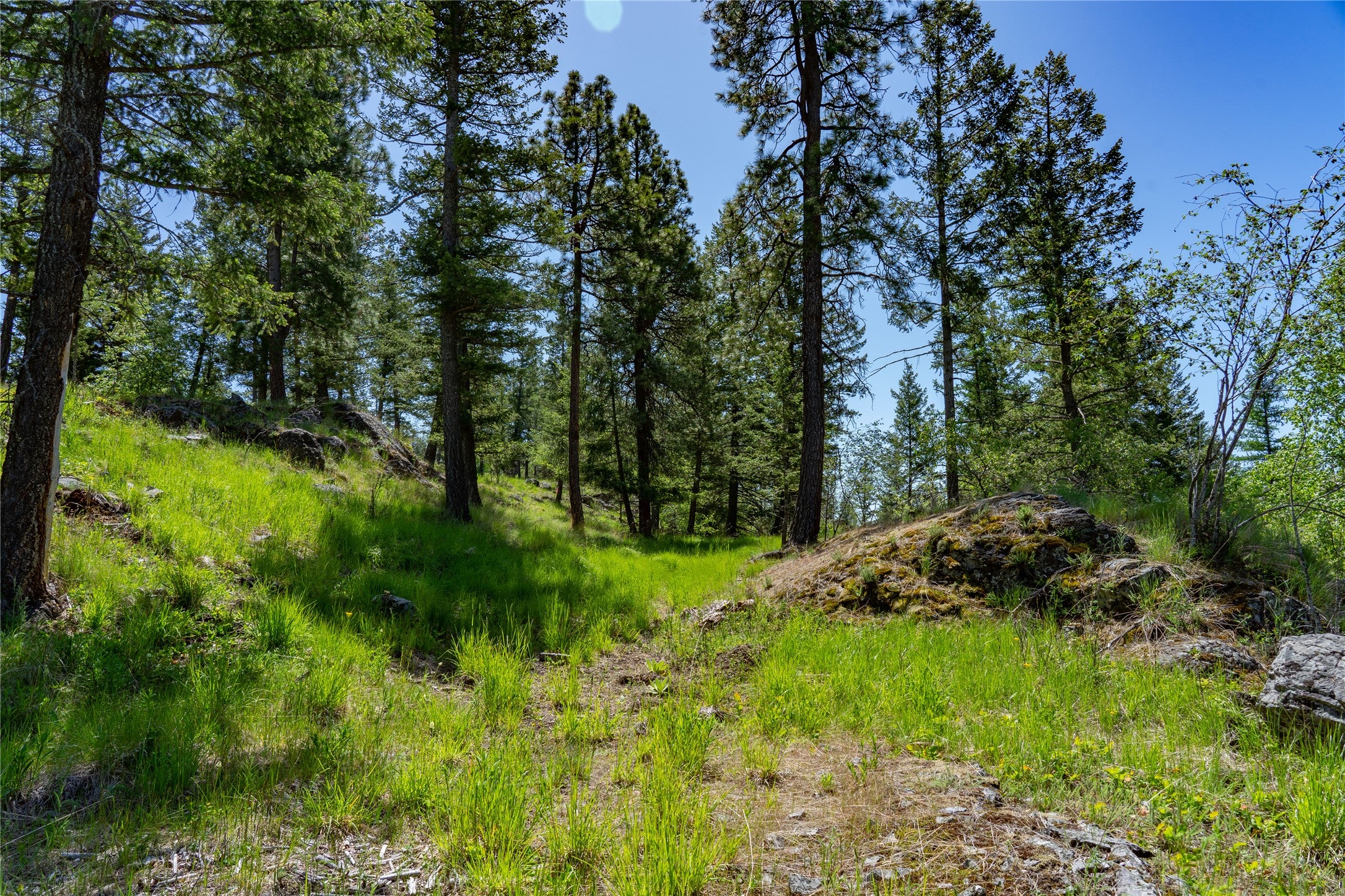 1193 Whispering Rock Road Bigfork, MT 59911 - Photo 39 of 48 Gallery Image 39