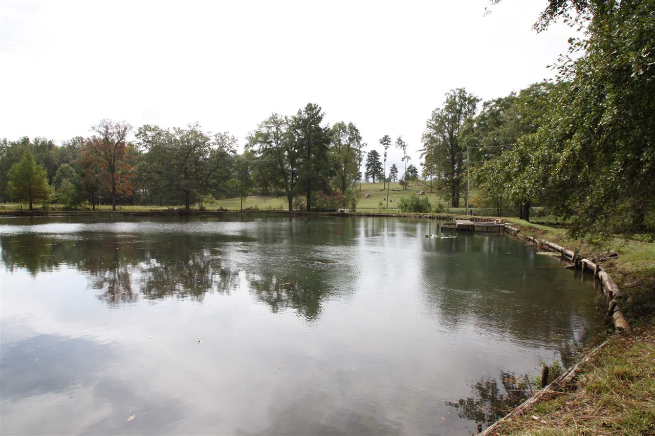 2210 Gap Creek Road Greer, SC 29651 - Photo 21 of 25 Gallery Image 21