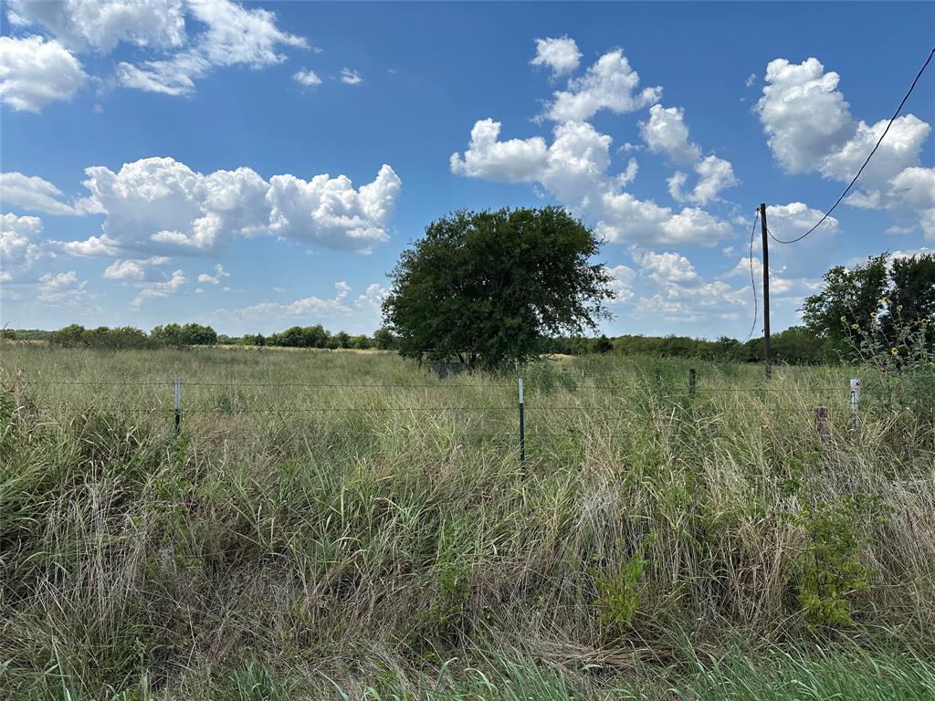 Lot 9 Eastline Road Whitewright, TX 75491 - Photo 12 of 18 a view of a lake in middle of forest