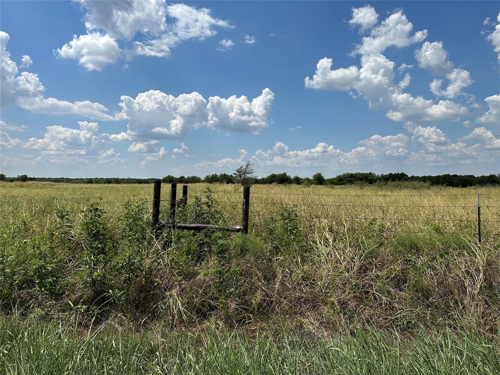 Lot 9 Eastline Road Whitewright, TX 75491 - Photo 8 of 18 a view of a lake in middle of forest