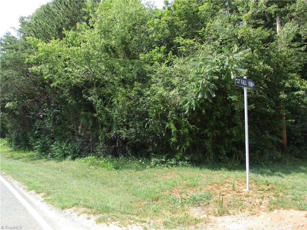 0 West Westmoreland Road King, NC 27021 - Photo 3 of 6