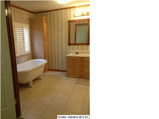 5055 Cragford Road Ashland, AL 36251 - Photo 13 of 24