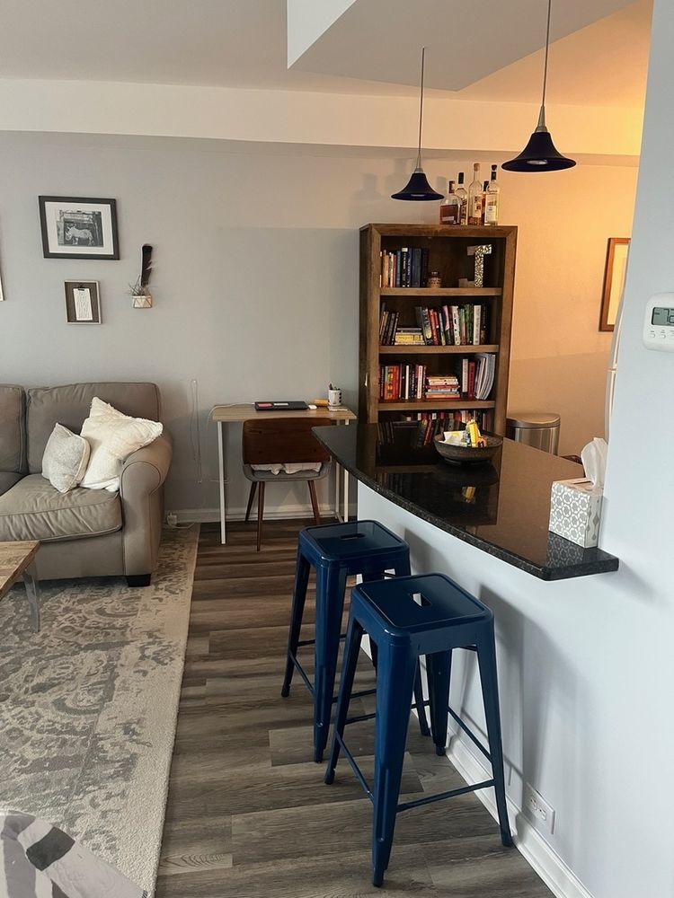 300 North State Street, Unit 3304 Chicago, IL 60654 - Photo 5 of 18 a living room with furniture and wooden floor