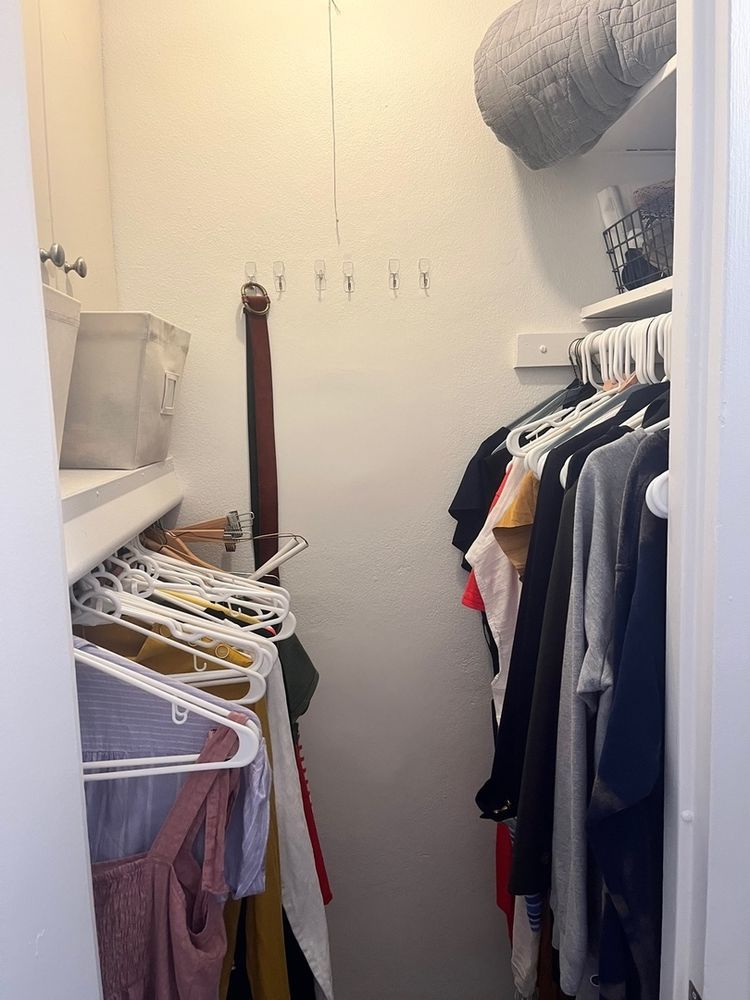 300 North State Street, Unit 3304 Chicago, IL 60654 - Photo 9 of 18 a view of walk in closet with clothes and shoes