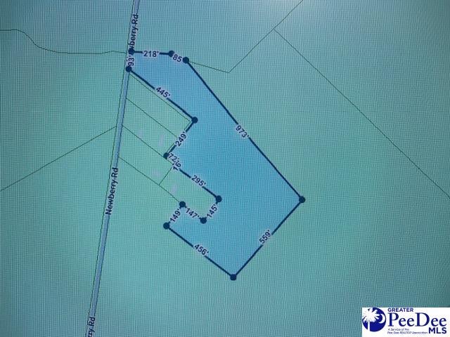 Tbd Newberry Road Lamar, SC 29069 - Photo 4 of 15 Gallery Image 4