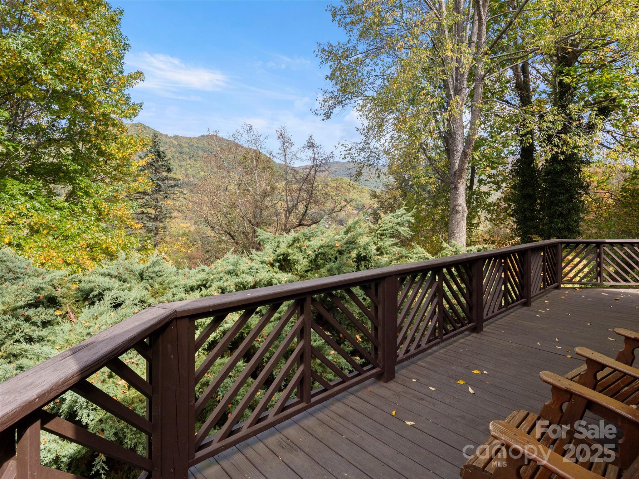 400 Rocky Top Road Maggie Valley, NC 28751 - Photo 5 of 35