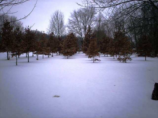 909 North Greene Road Goshen, IN 46526 - Photo 3 of 8 Gallery Image 3