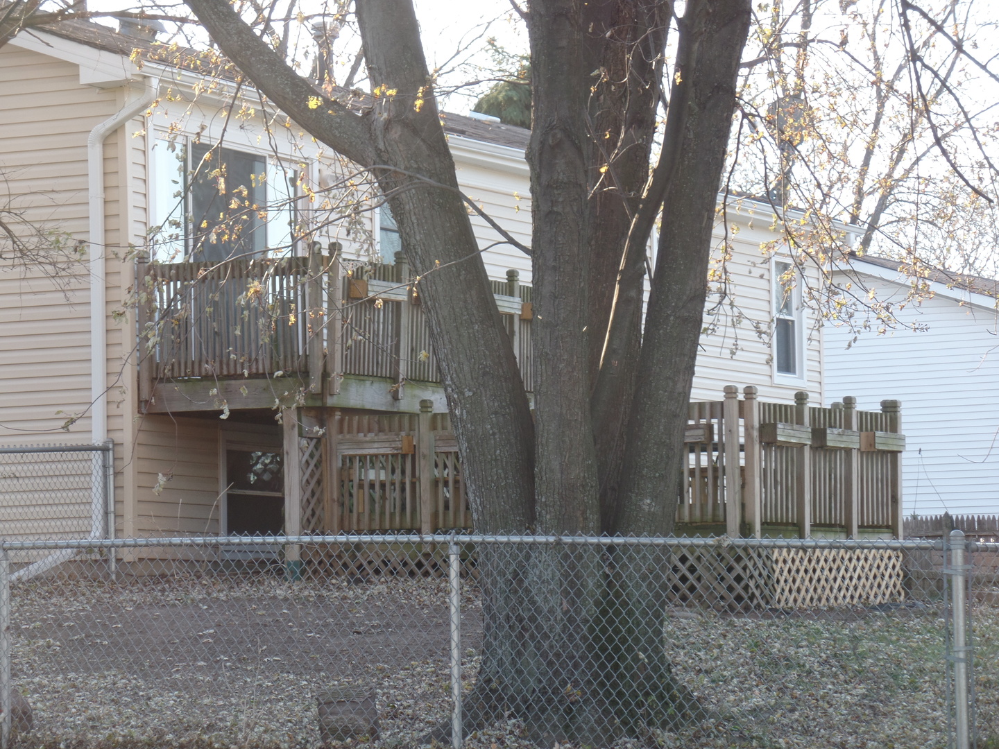 484 Rockhurst Road Bolingbrook, IL 60440 - Photo 33 of 34 a view of a house with a tree