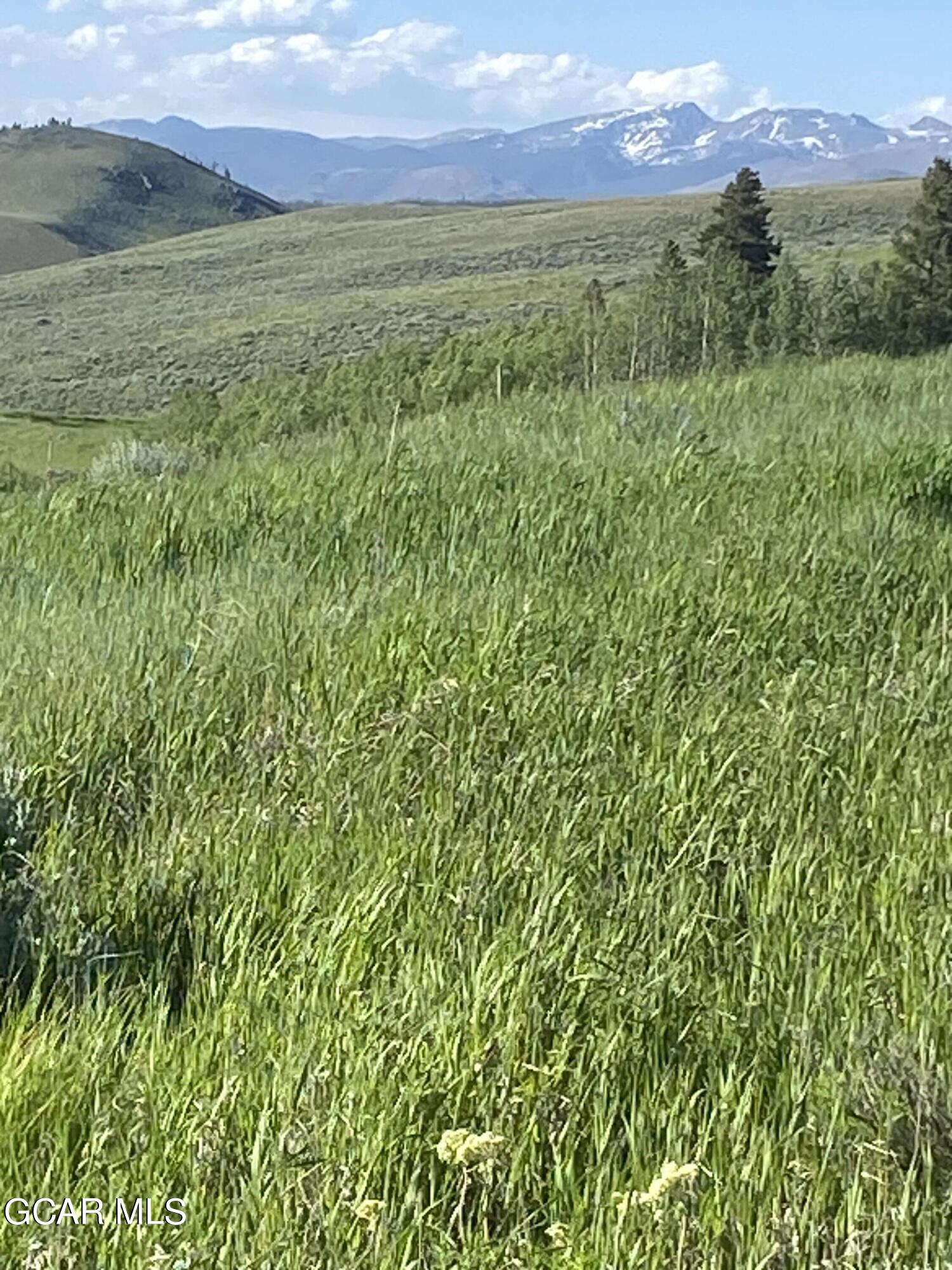 502 Upper Ranch View Drive Granby, CO 80446 - Photo 39 of 40 a view of an lush green mountain from a yard