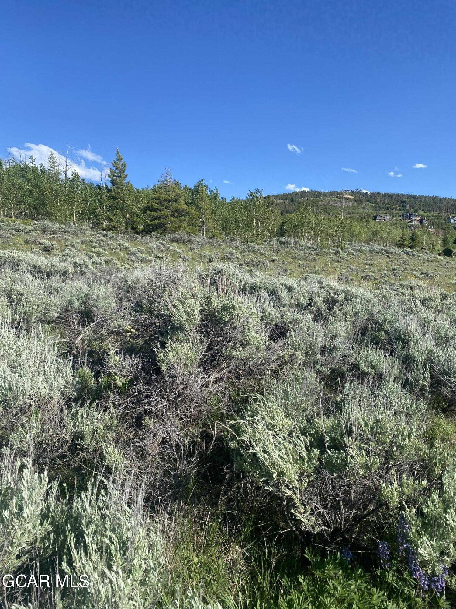 502 Upper Ranch View Drive Granby, CO 80446 - Photo 40 of 40 a view of a yard with an outdoor space