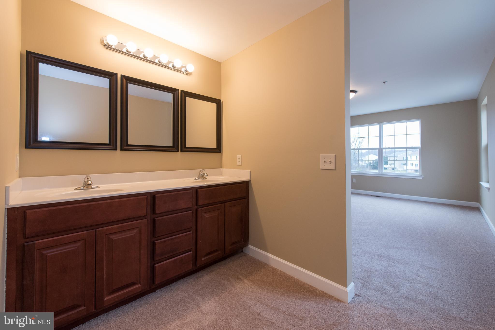 1013 Wampler Road Baltimore, MD 21220 - Photo 15 of 29 Bath (Master)