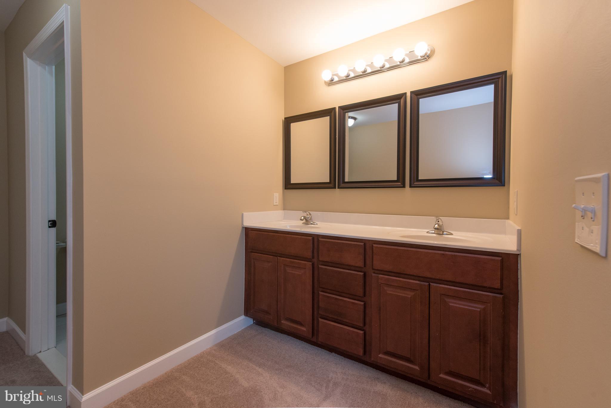 1013 Wampler Road Baltimore, MD 21220 - Photo 16 of 29 Bath (Master)