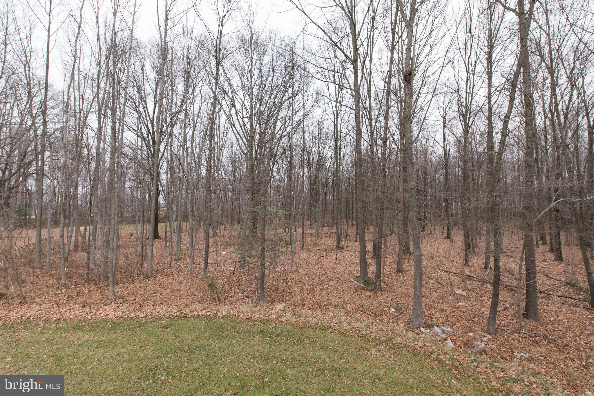 1013 Wampler Road Baltimore, MD 21220 - Photo 27 of 29 View