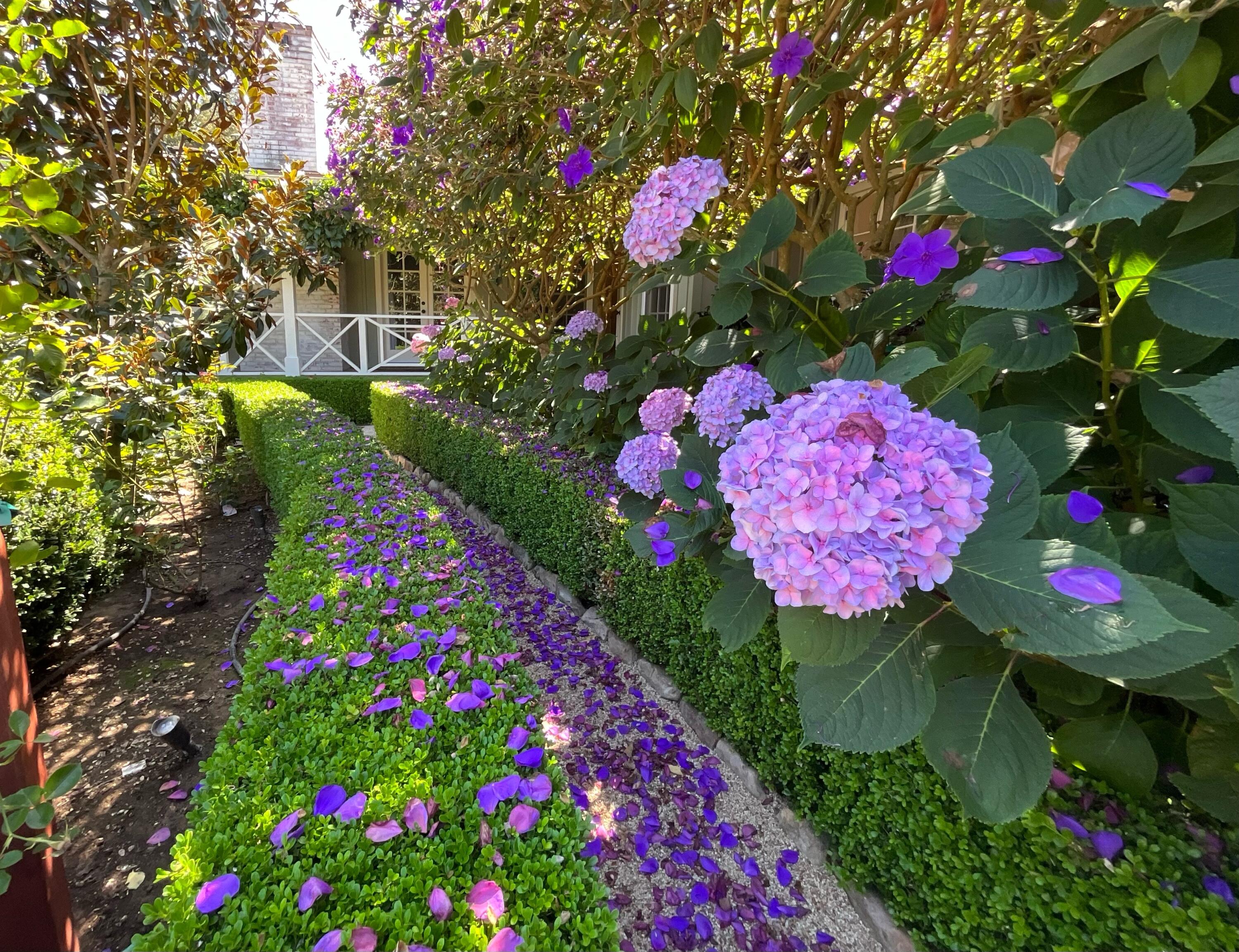 1077 Summit Road Santa Barbara, CA 93108 - Photo 18 of 28 Vibrant Gardens