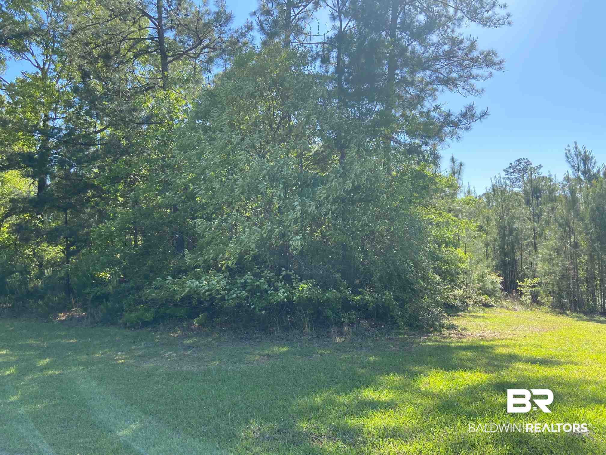 Pine Valley Court Brewton, AL 36426 - Photo 1 of 2