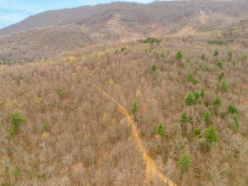 0 Adventure Mountain Road Montvale, VA 24122 - Photo 5 of 8 z6en4ze322