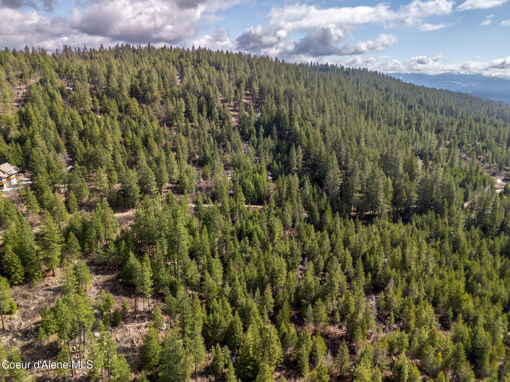 Nna Nna Quiet Heights Road Athol, ID 83801 - Photo 22 of 22 9-web-or-mls-SkyLight - NH365-09