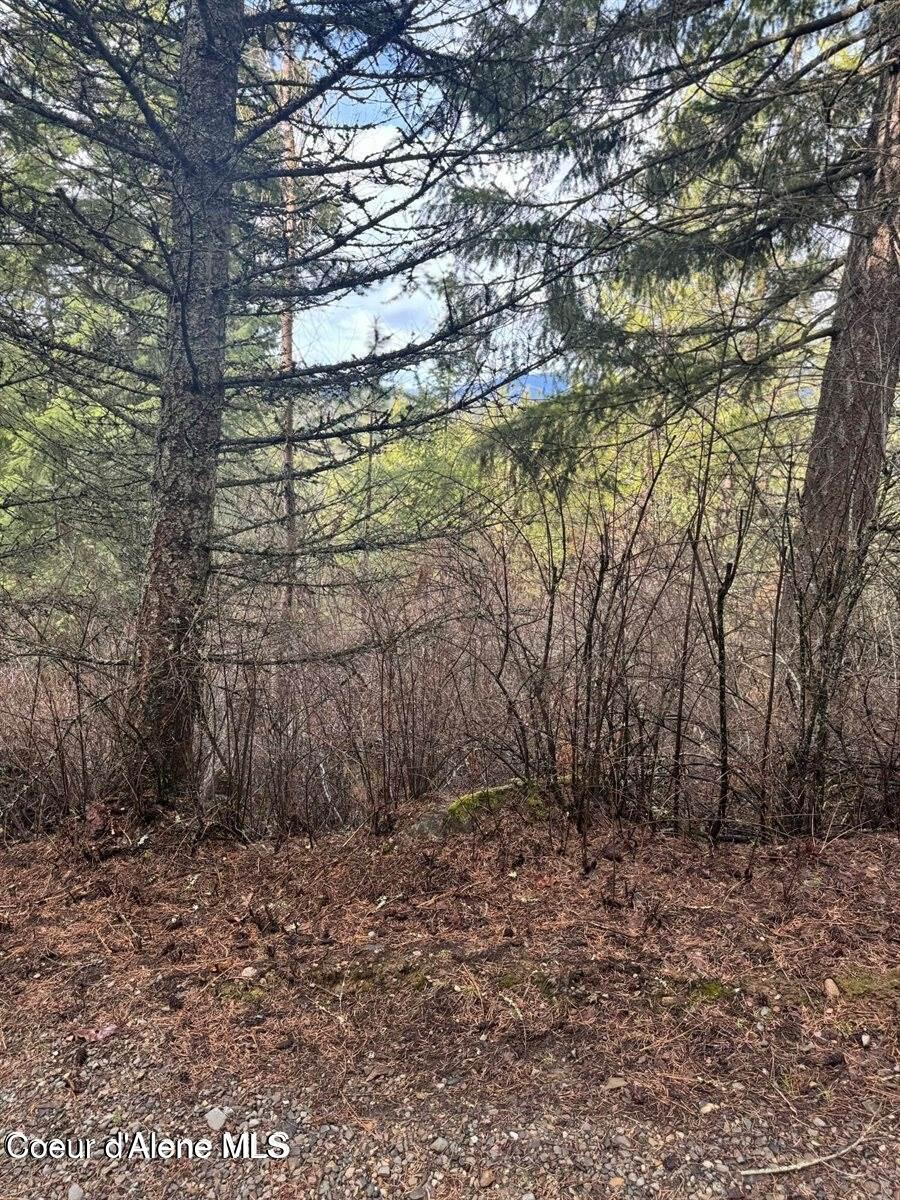 Nna Nna Quiet Heights Road Athol, ID 83801 - Photo 6 of 22 Quiet Heights 1