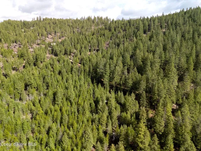 $200,000 | Nna Nna Quiet Heights Road, Athol, ID 83801