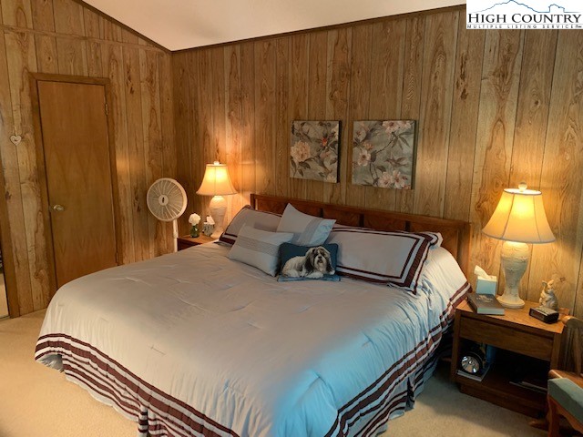 213 Pine Ridge Road Beech Mountain, NC 28604 - Photo 16 of 21