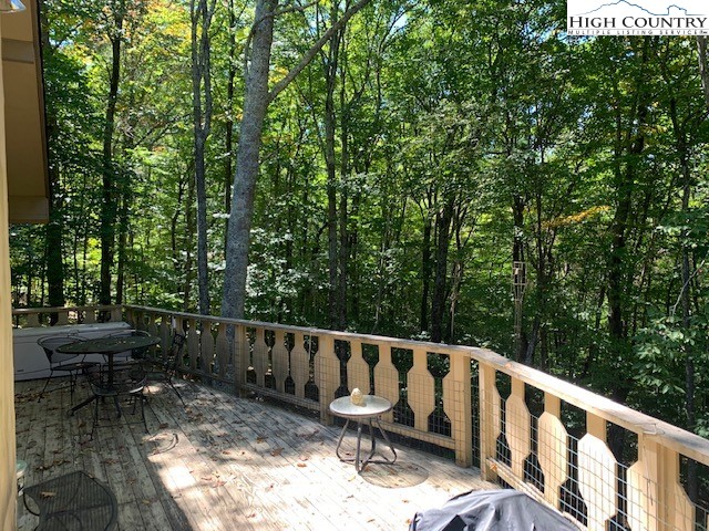 213 Pine Ridge Road Beech Mountain, NC 28604 - Photo 21 of 21