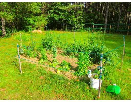 144 Pottle Road Oxford, ME 04270 - Photo 17 of 25 Yard/Garden.