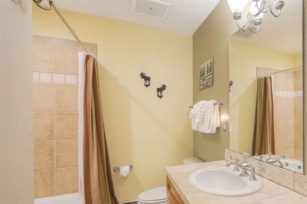 a bathroom with a sink a toilet a mirror and shower