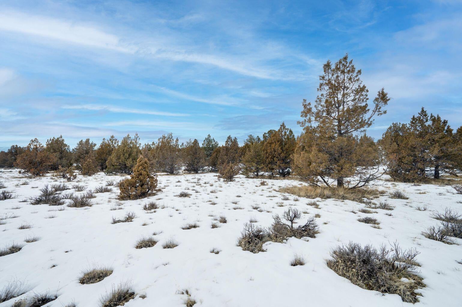 7537 Southeast Thomas Road Prineville, OR 97754 - Photo 13 of 28 3